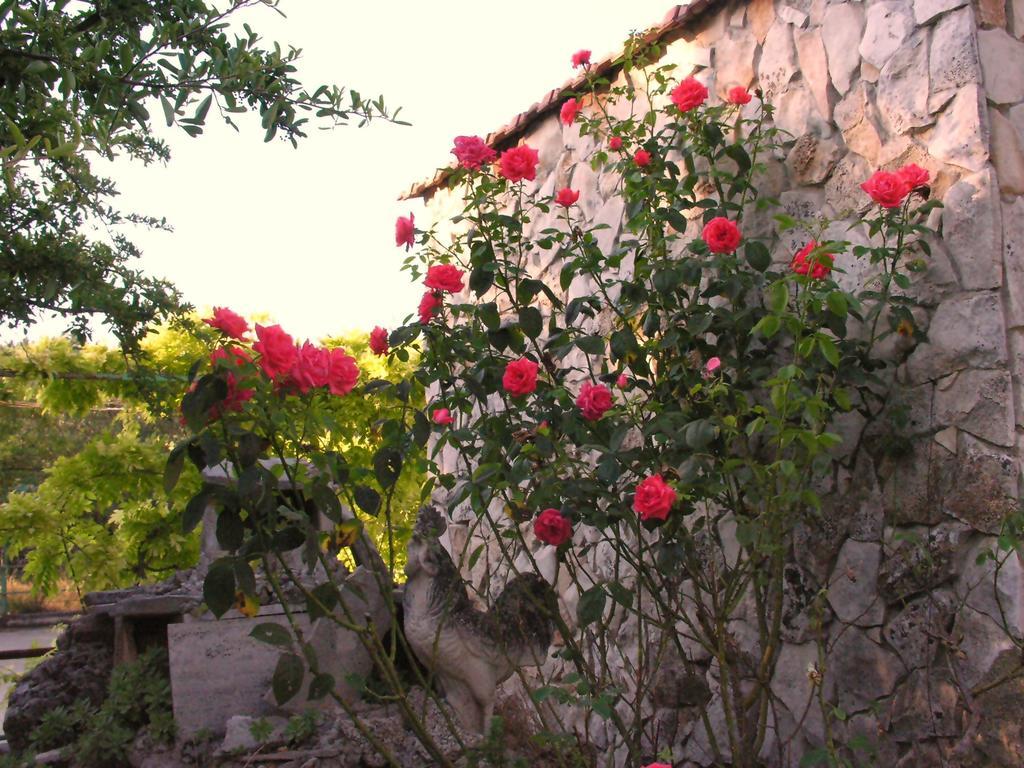 Agriturismo Valle Verde Altamura Eksteriør bilde